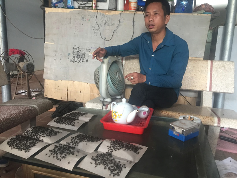 [-]Kinh[-]hoàng[-]ruồi[-]từ[-]bãi[-]rác[-]Nam[-]Sơn[-]"tấn[-]công"[-]nhà[-]dân
